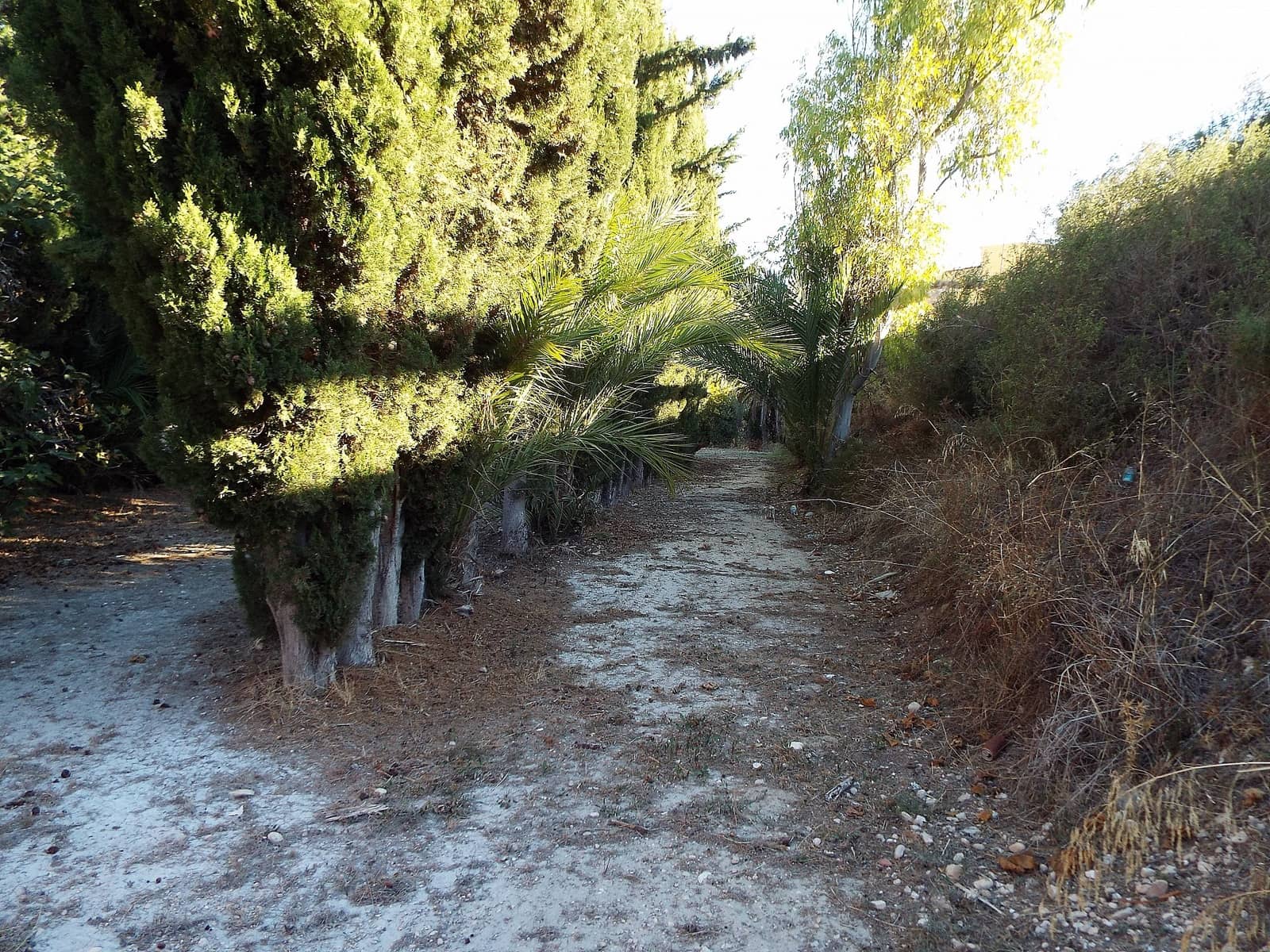 12 slaapkamer Finca/Landhuis te koop in Mahoya met zwembad garage - € 250.000 (Ref: 9478611)