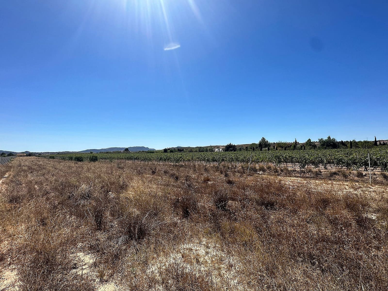 Undeveloped Land for sale in Pinoso - € 49,995 (Ref: 9478839)