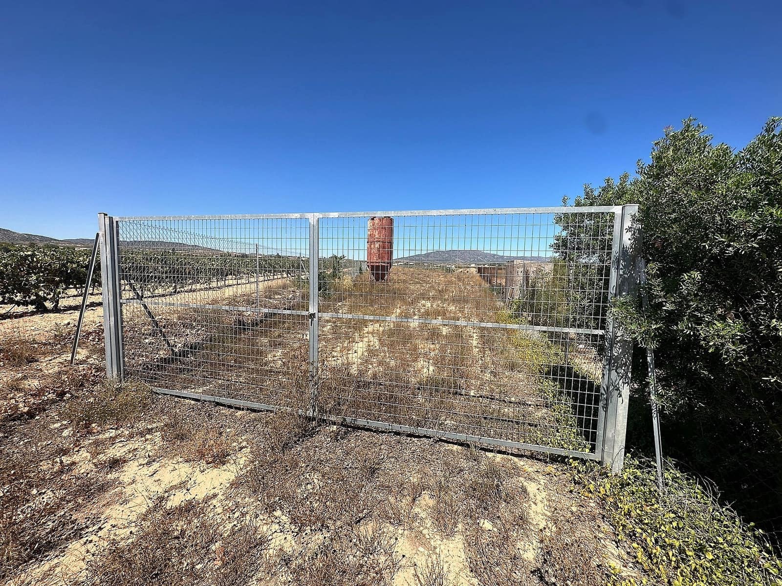 Undeveloped Land for sale in Pinoso - € 49,995 (Ref: 9478839)