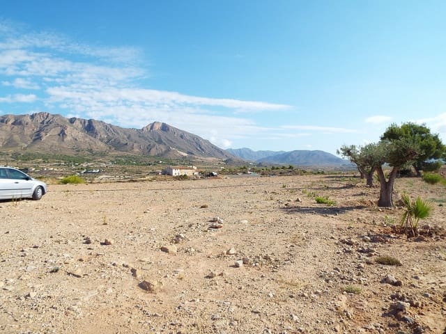 Terreno Non Edificato in vendita in Macisvenda, Abanilla - 49.950 € (Rif: 9478844)