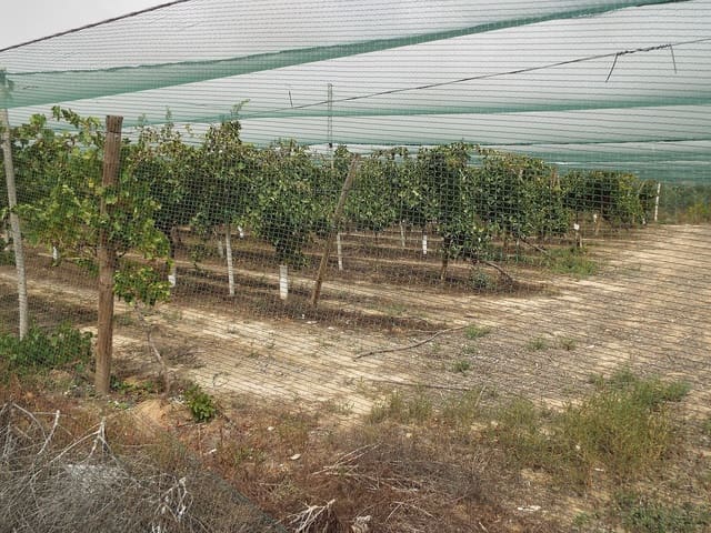 Grunde uden byggetilladelser til salg i Monforte del Cid - € 26.000 (Ref: 9478903)