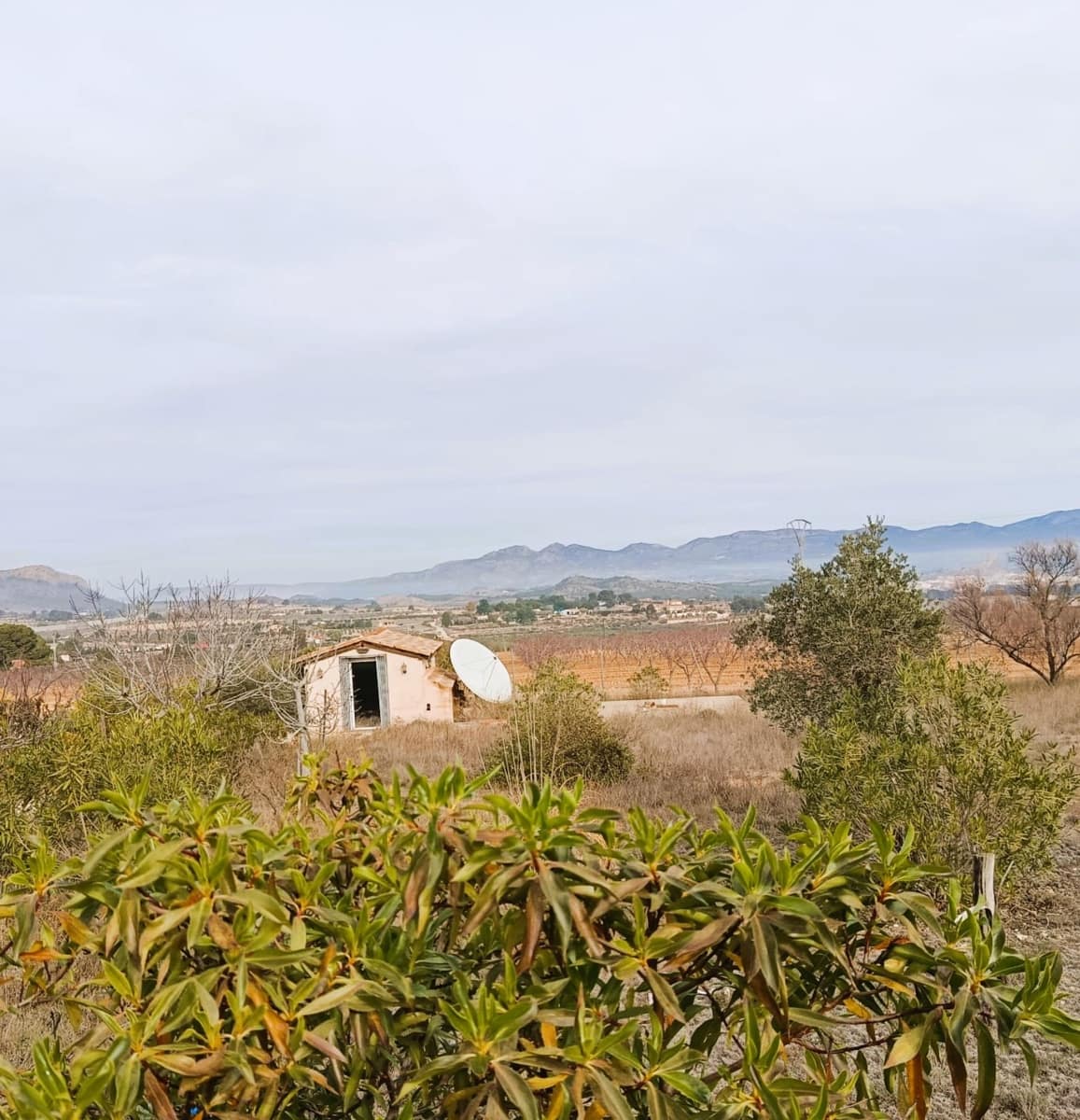 5 bedroom Villa for sale in Elda with pool - € 450,000 (Ref: 9485187)