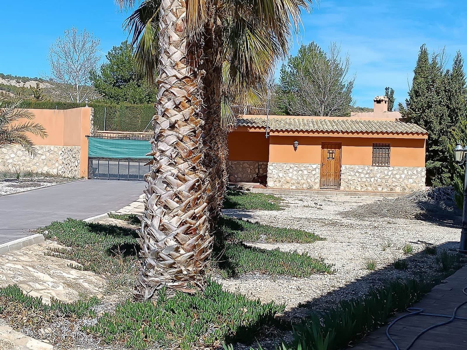 7 bedroom Bungalow for sale in Yecla with pool - € 259,000 (Ref: 9494298)