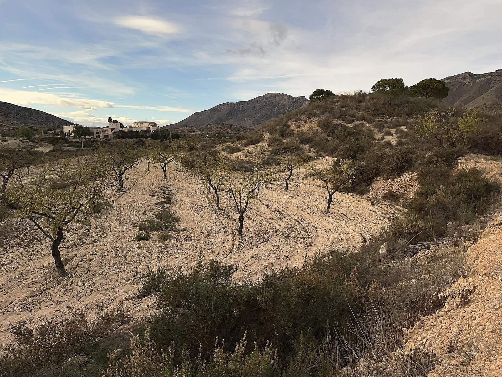 8 soverom Finca/Herregård til salgs i Hondon de las Nieves med svømmebasseng - € 156 000 (Ref: 9498077)