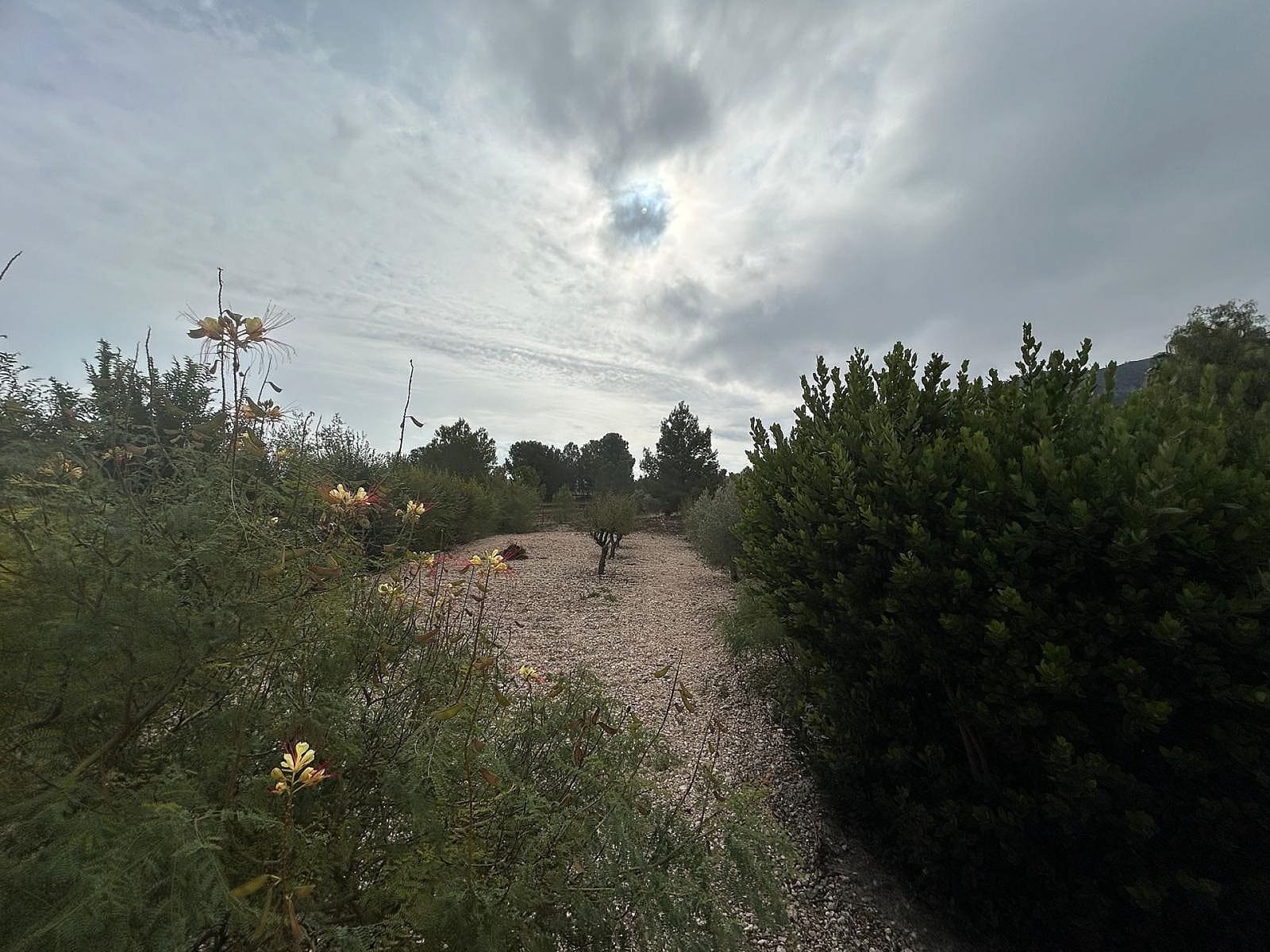 Chalet de 5 habitaciones en Sax en venta con piscina - 375.000 € (Ref: 9522974)