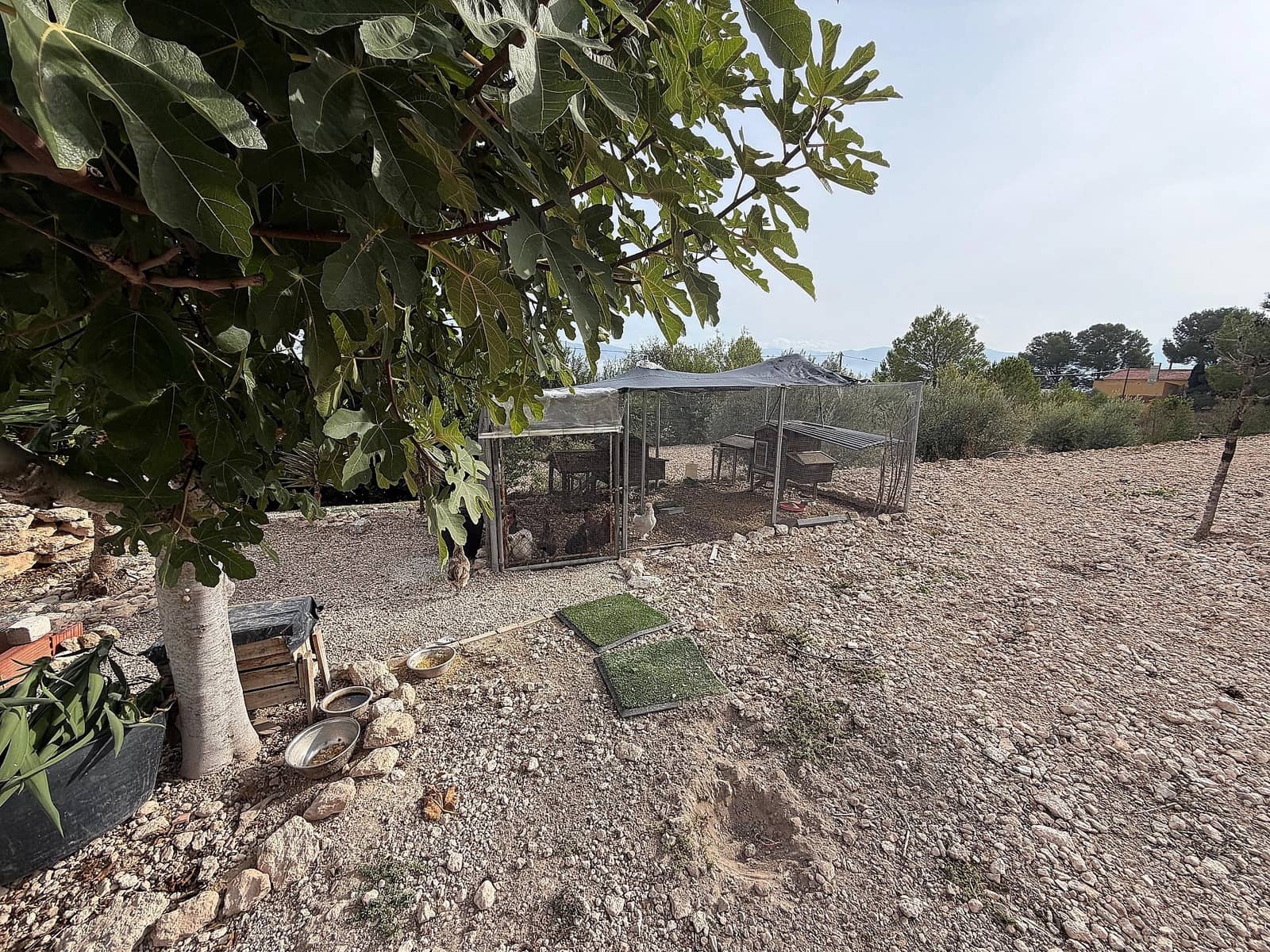 Chalet de 5 habitaciones en Sax en venta con piscina - 375.000 € (Ref: 9522974)