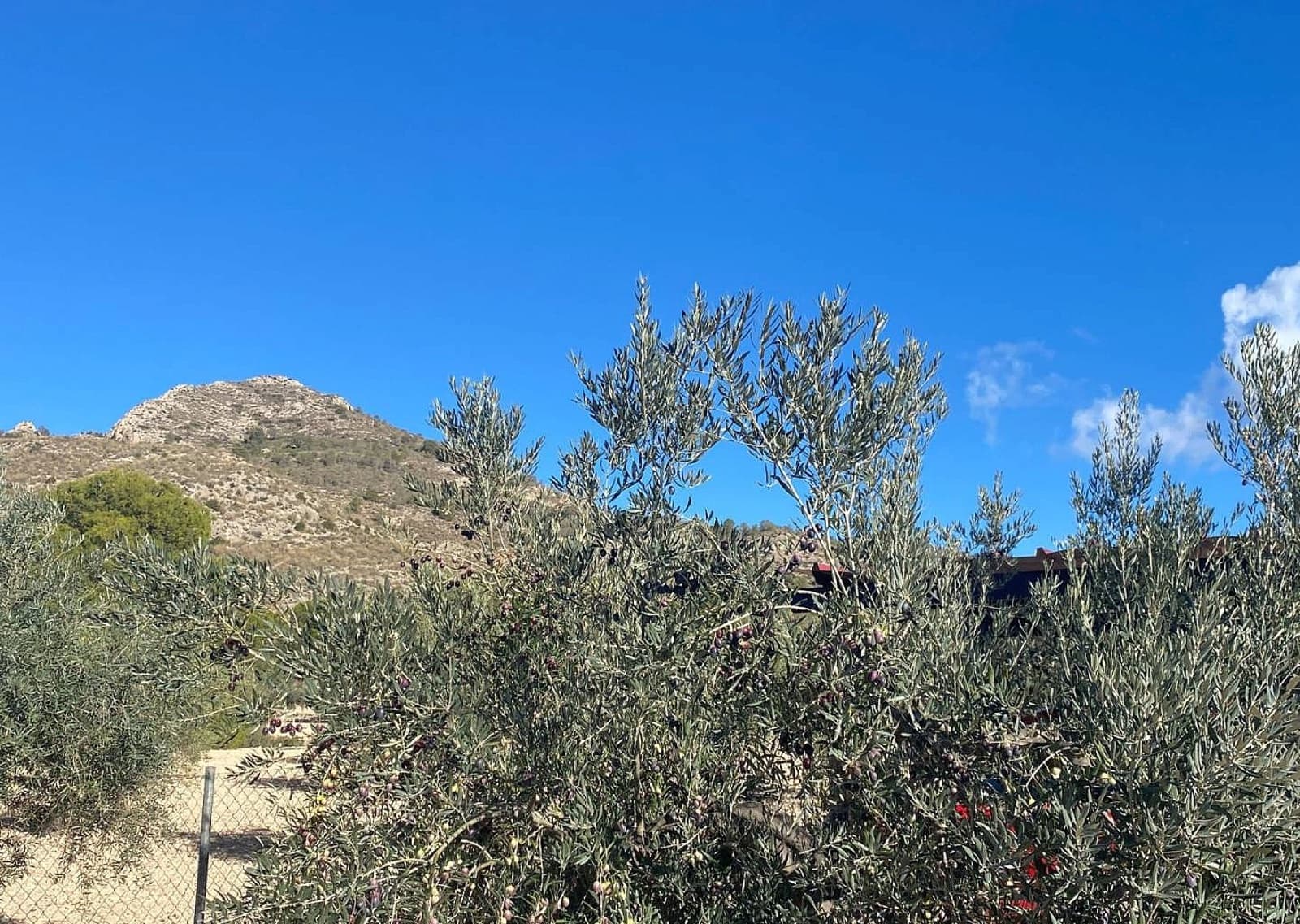 3 Zimmer Villa zu verkaufen in Sax mit Pool Garage - 399.995 € (Ref: 9522976)