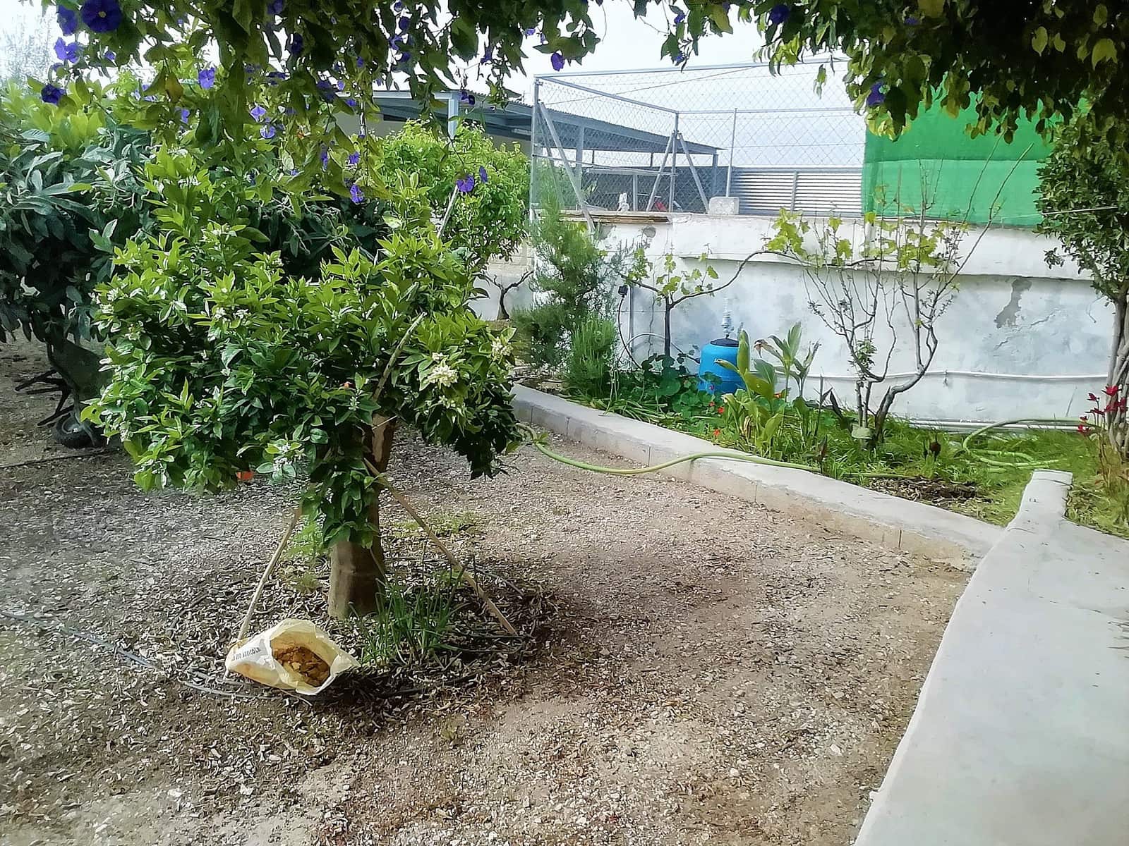 4 sovrum Villa till salu i Abanilla med pool garage - 219 995 € (Ref: 9522978)