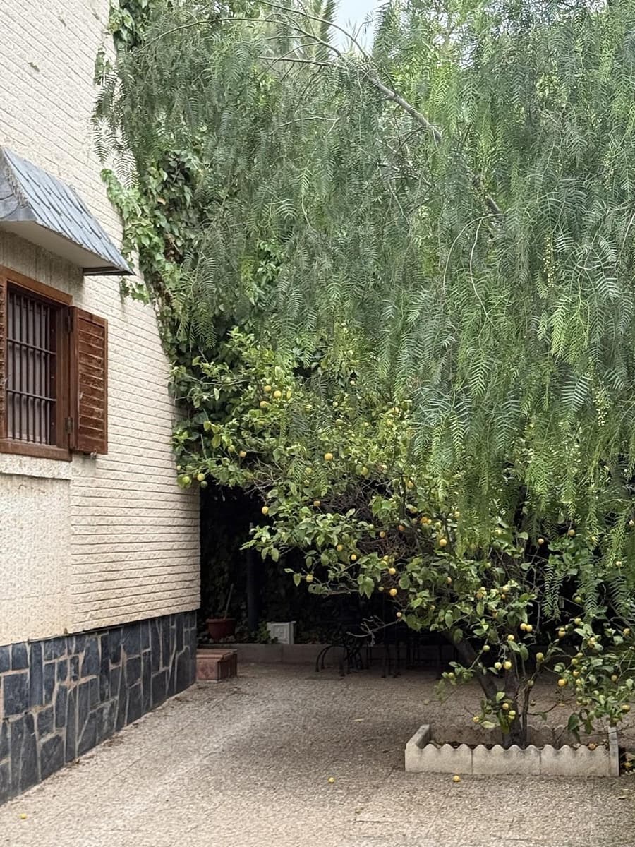 4 chambre Villa/Maison à vendre à Elda avec piscine garage - 385 000 € (Ref: 9522988)