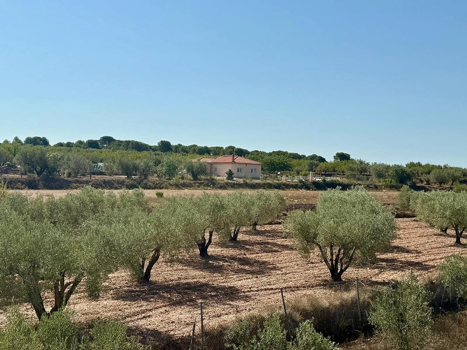 3 soveværelse Villa til salg i Onil med swimmingpool garage - € 498.000 (Ref: 9522992)