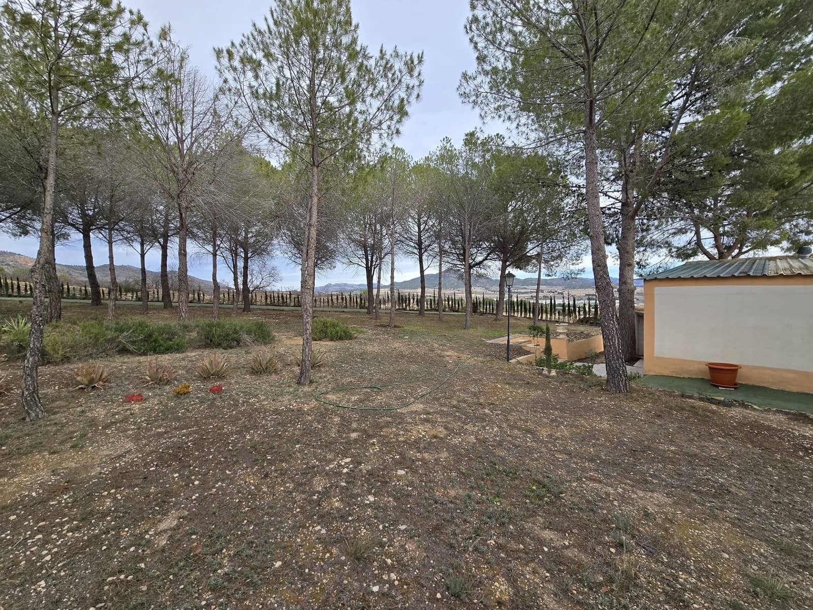 4 bedroom Finca/Country House for sale in Salinas with pool garage - € 470,000 (Ref: 9532319)
