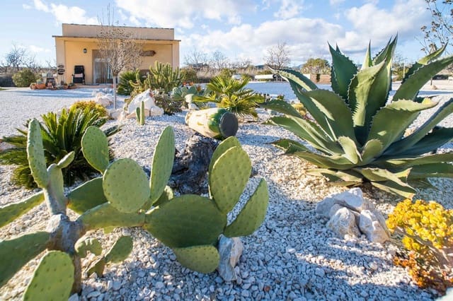 3 slaapkamer Villa te koop in Rodriguillo, Pinoso met zwembad - € 395.000 (Ref: 9547635)