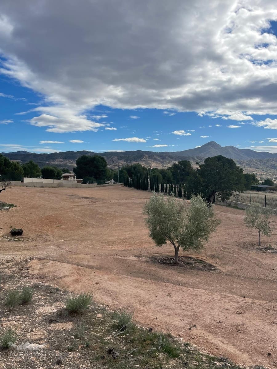 4 soverom Villa til salgs i Jumilla med svømmebasseng - € 315 000 (Ref: 9550841)