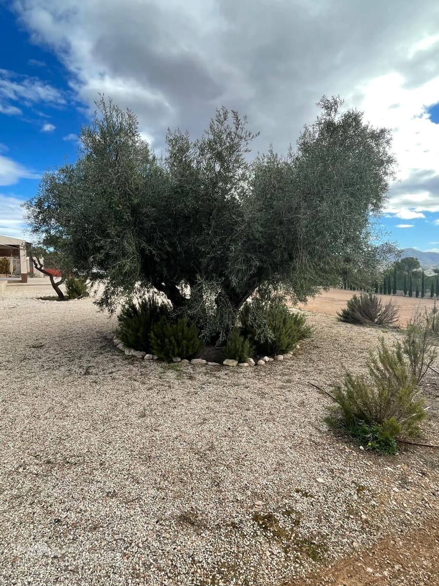 4 soverom Villa til salgs i Jumilla med svømmebasseng - € 315 000 (Ref: 9550841)