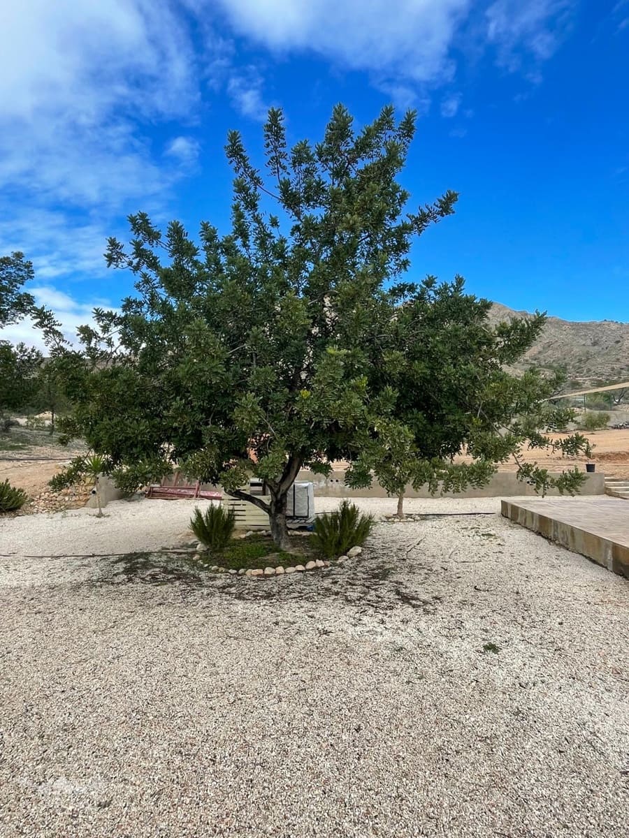 4 soverom Villa til salgs i Jumilla med svømmebasseng - € 315 000 (Ref: 9550841)