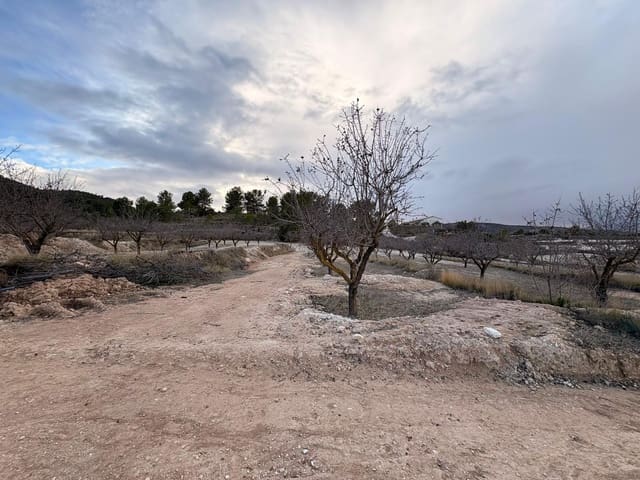 3 quarto Moradia para venda em Encebras, Pinoso com piscina - 399 995 € (Ref: 9585408)