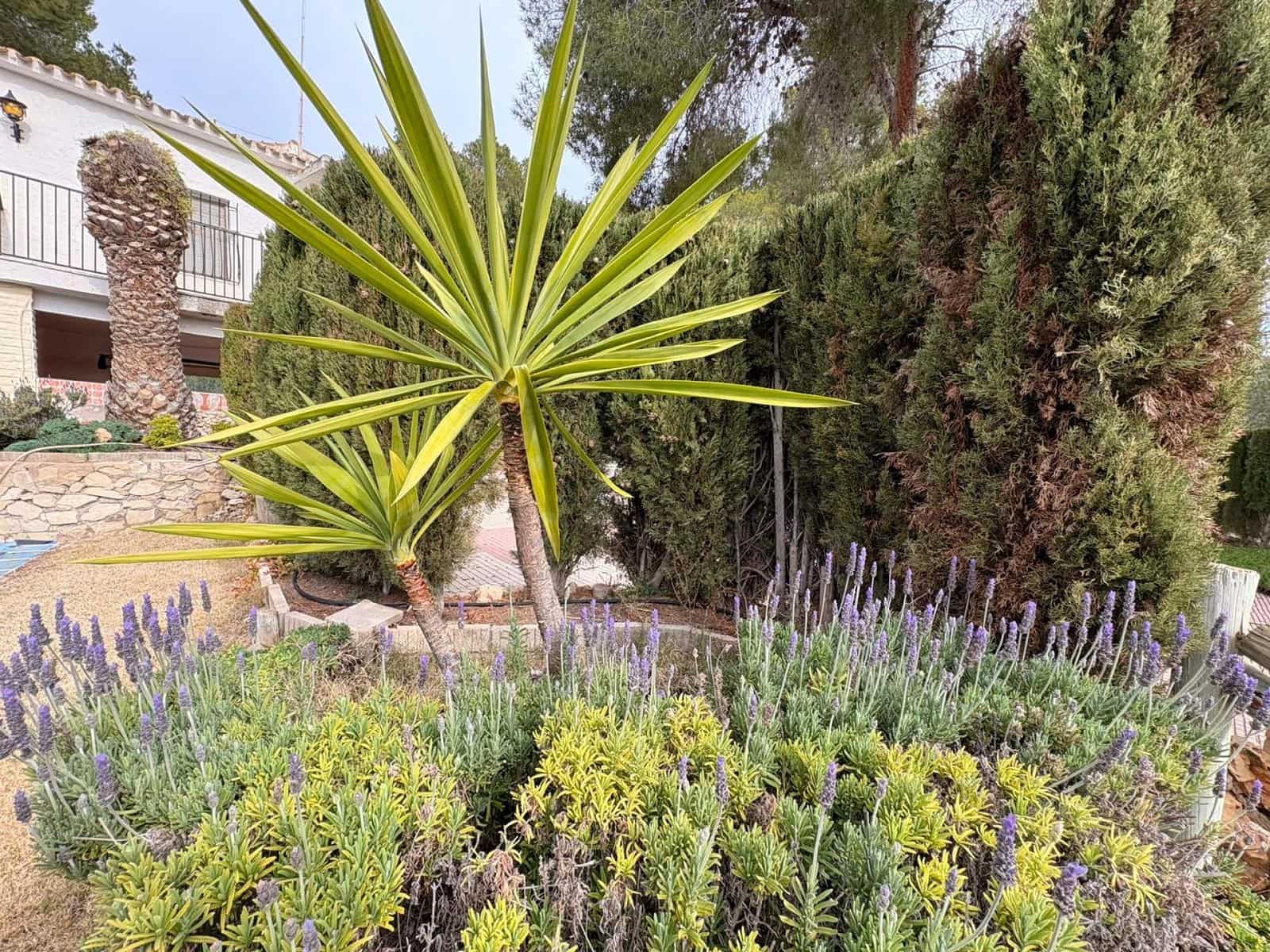 4 bedroom Villa for sale in Sax with pool garage - € 315,000 (Ref: 9590729)