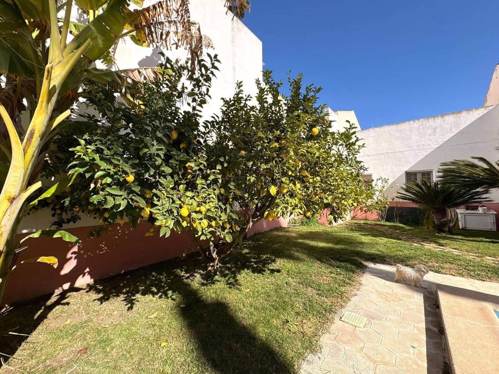 6 soverom Villa til salgs i Sax med svømmebasseng garasje - € 599 995 (Ref: 9598720)