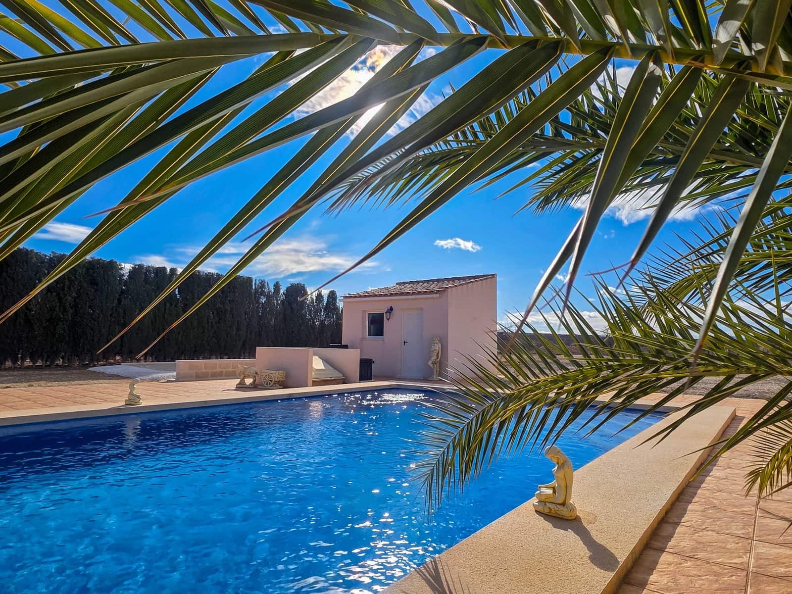 4 chambre Villa/Maison à vendre à Pinoso avec piscine - 399 995 € (Ref: 9633899)