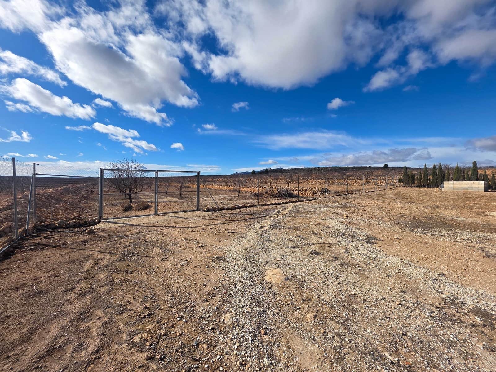 4 chambre Villa/Maison à vendre à Pinoso avec piscine - 399 995 € (Ref: 9633899)