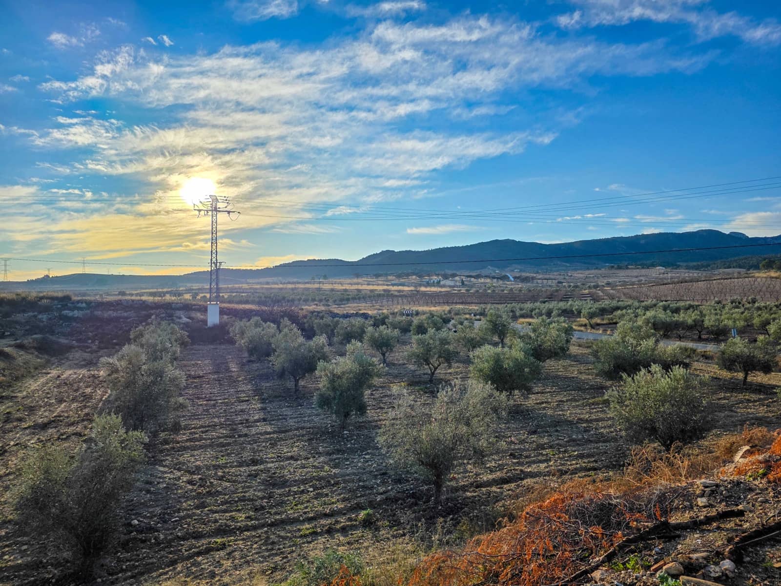 6 quarto Casa em Banda para venda em Torre del Rico com garagem - 69 950 € (Ref: 9633903)
