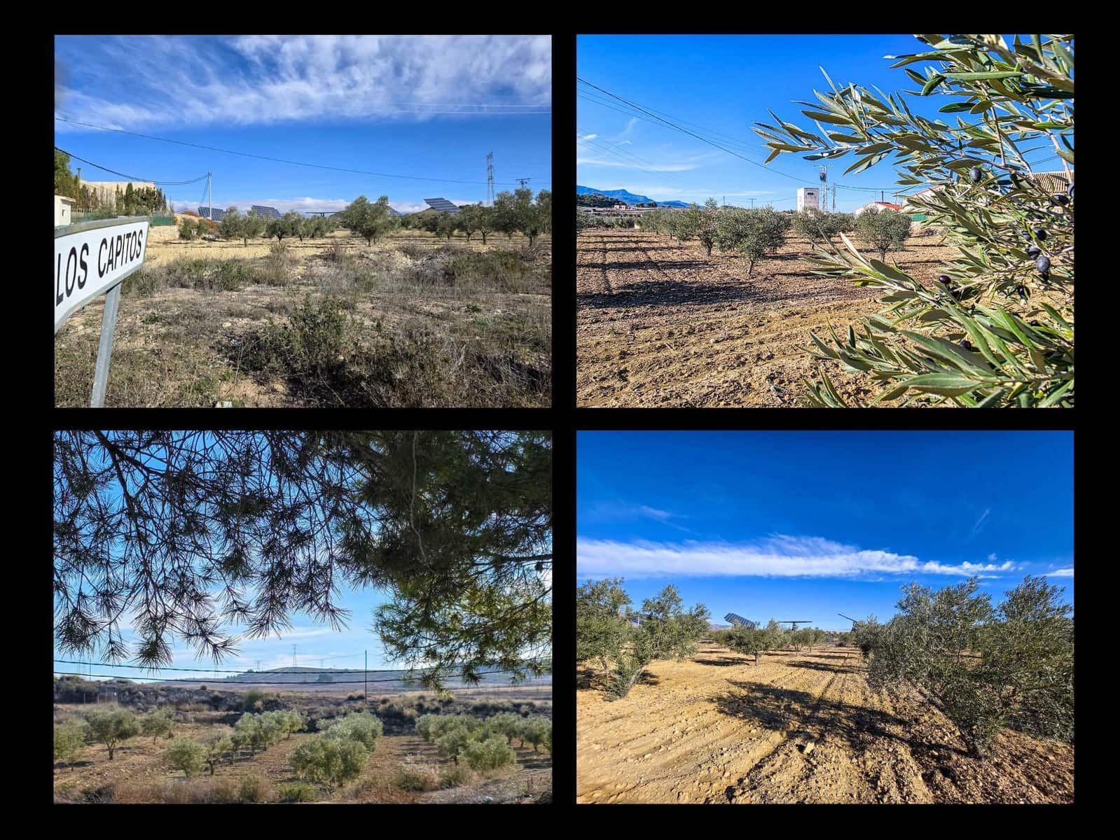 6 quarto Casa em Banda para venda em Torre del Rico com garagem - 69 950 € (Ref: 9633903)