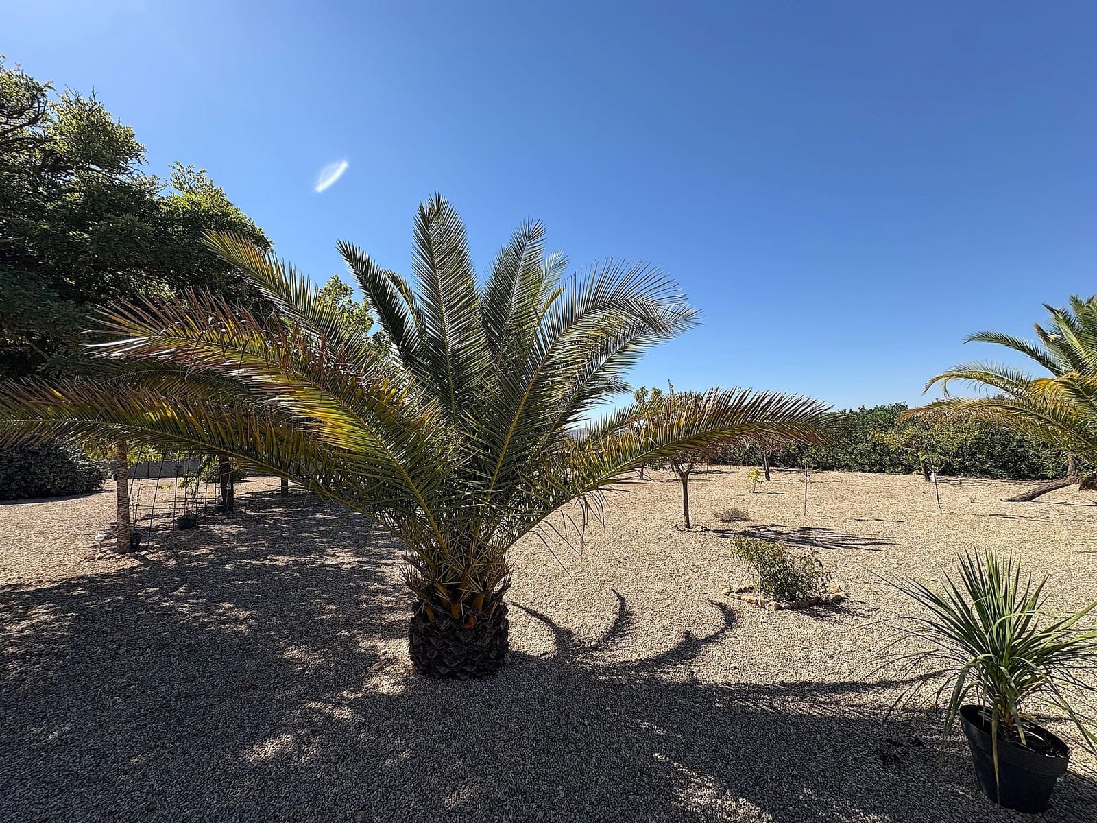 3 quarto Moradia para venda em Biar com piscina - 324 995 € (Ref: 9636468)