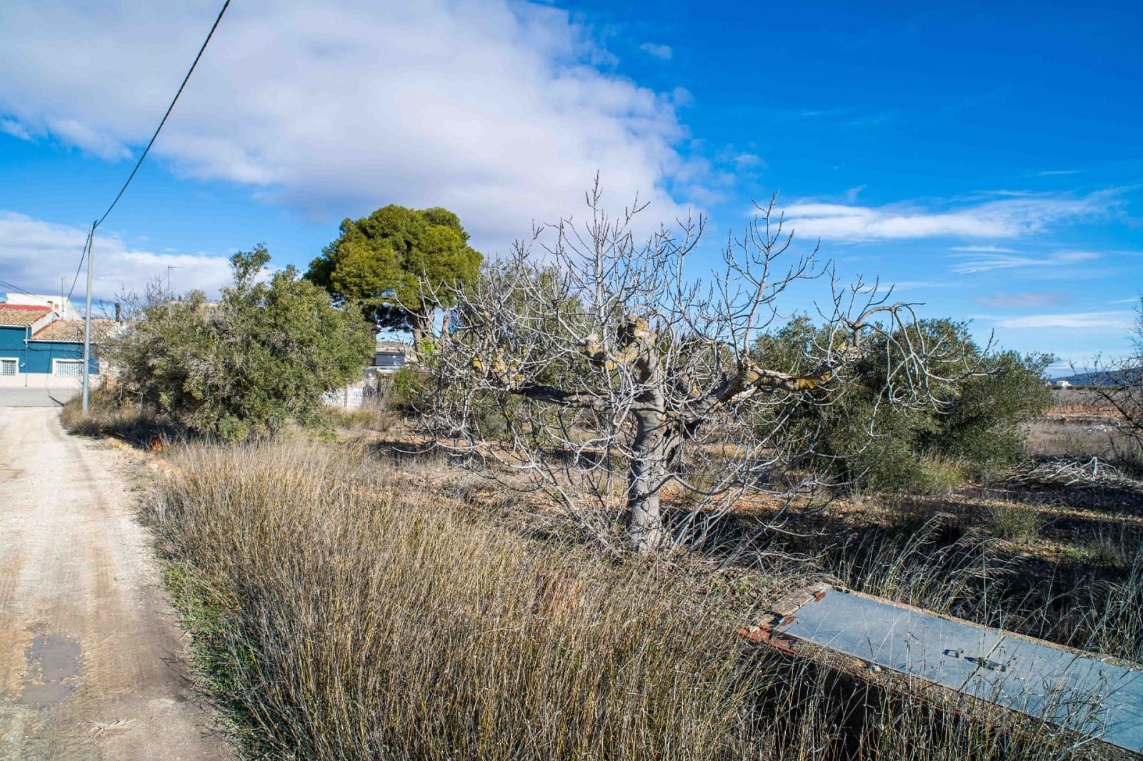 5 chambre Finca/Maison de Campagne à vendre à Pinoso avec piscine - 179 950 € (Ref: 9639083)