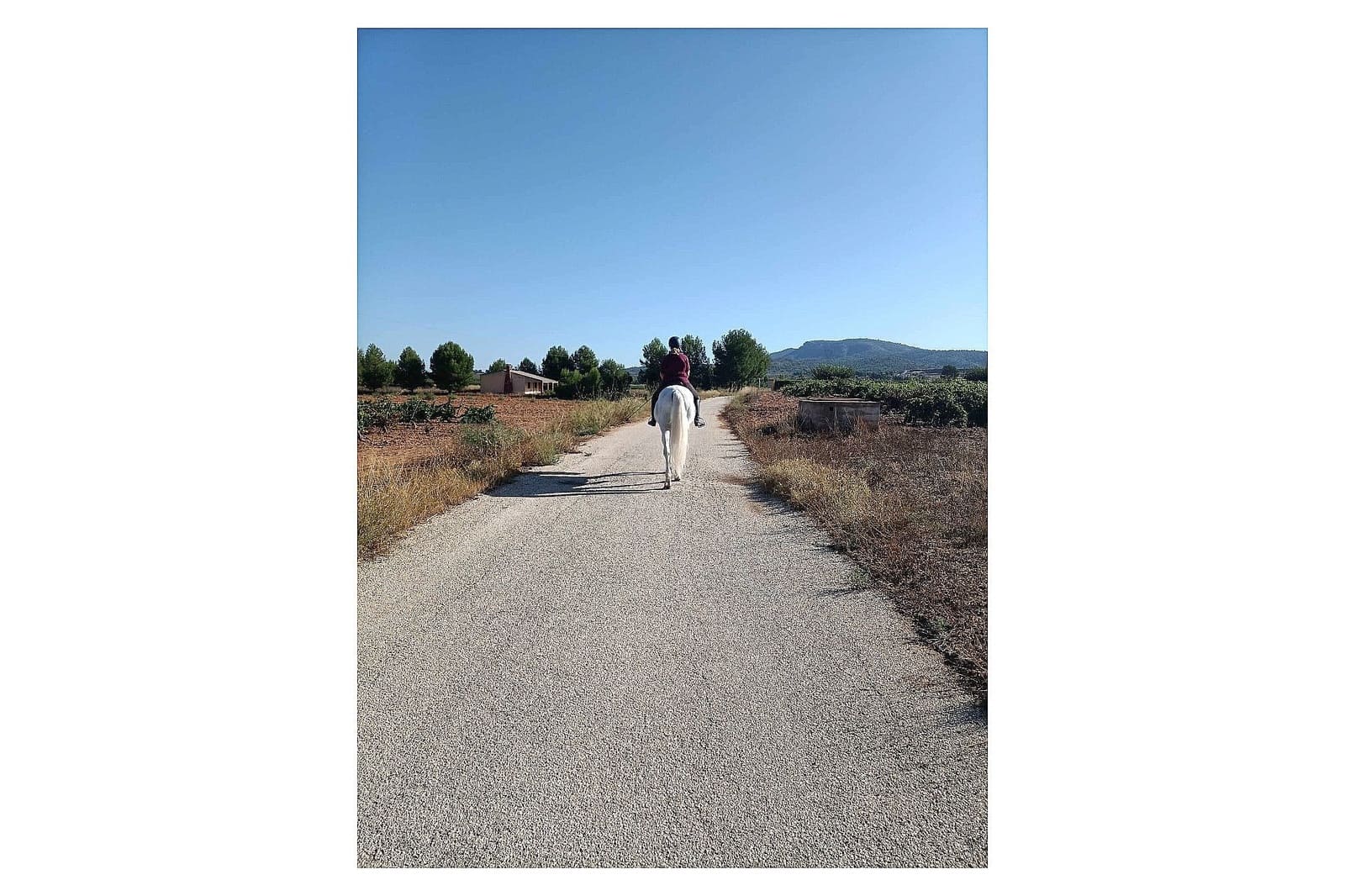 3 makuuhuone Maalaistalo myytävänä paikassa Monovar / Monover mukana uima-altaan 
autotalli - 200 000 € (Ref: 9639089)