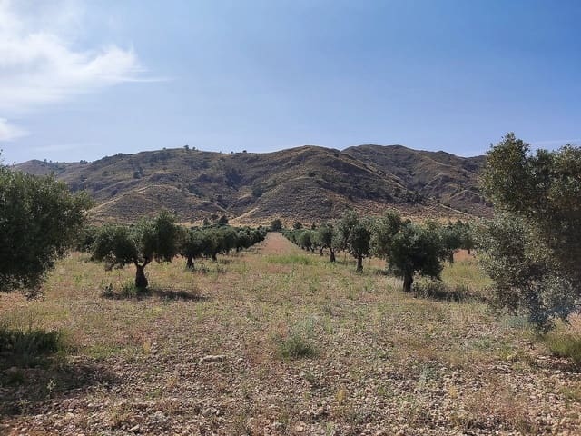 5 sypialnia Finka/Dom wiejski na sprzedaż w Yecla z basenem garażem - 675 000 € (Ref: 9639094)