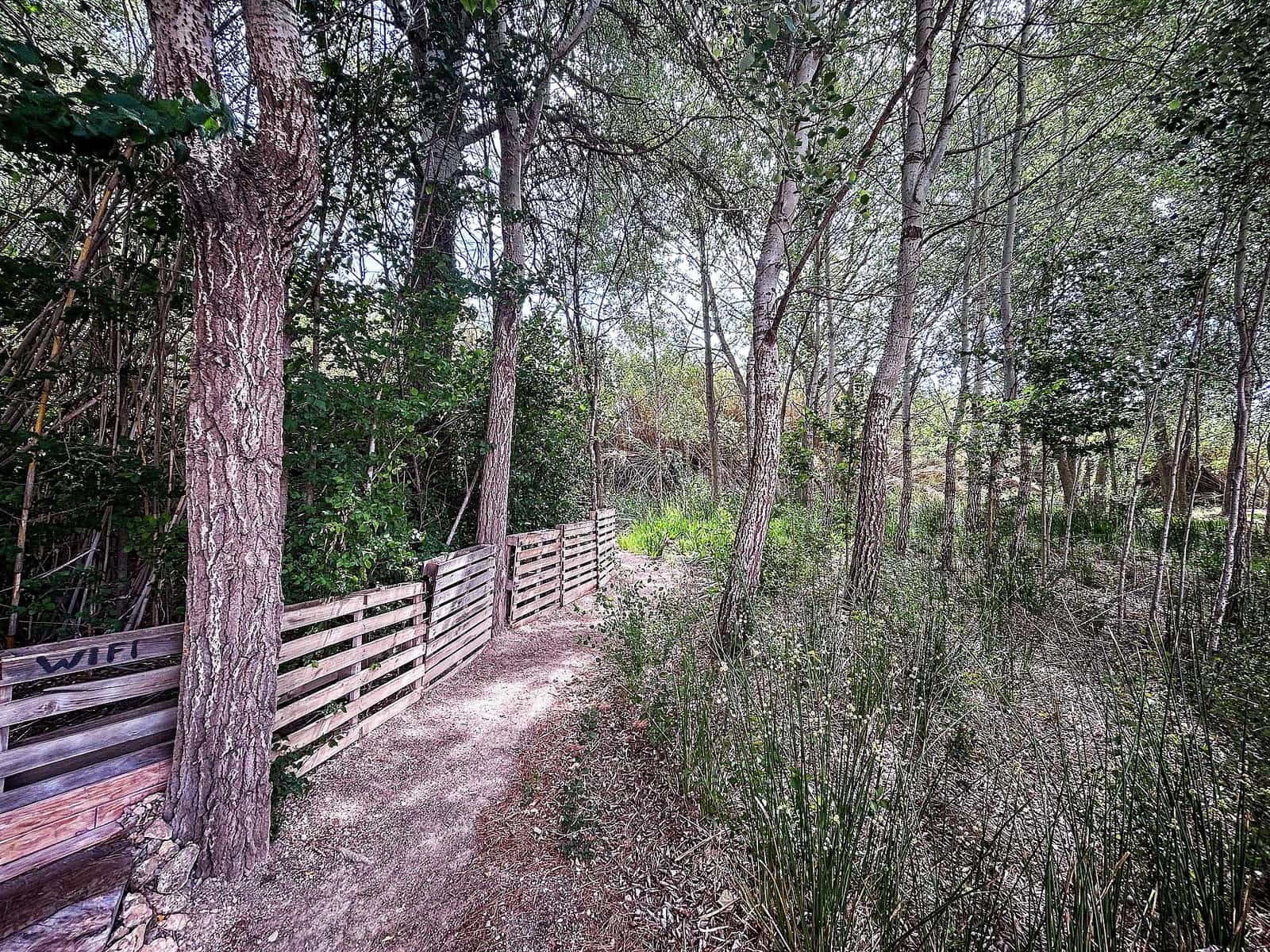 Finka/Dom wiejski na sprzedaż w Almansa z garażem - 140 000 € (Ref: 9639097)