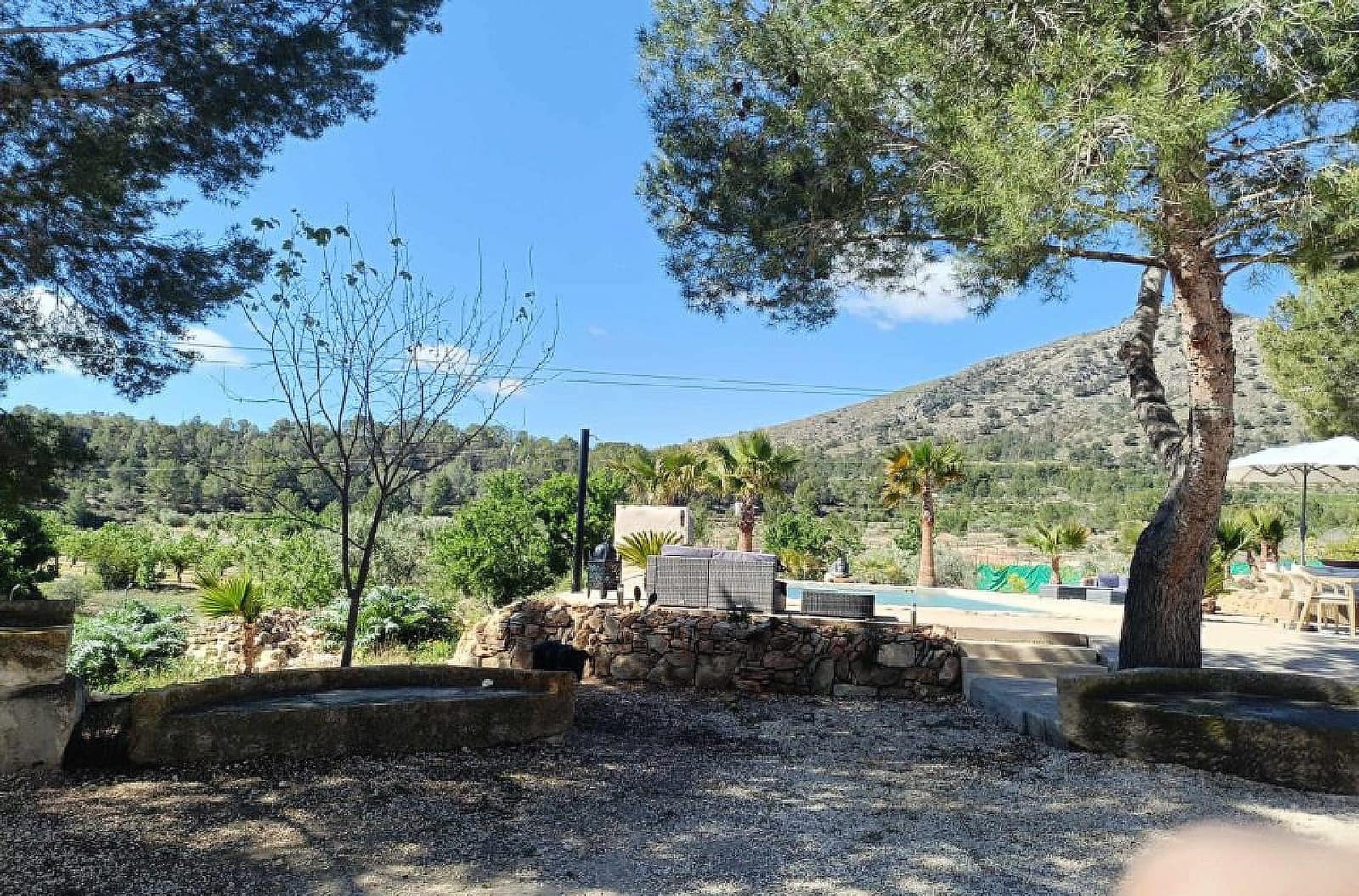 Finca/Casa Rural de 4 habitaciones en La Romana en venta con piscina - 339.000 € (Ref: 9639098)