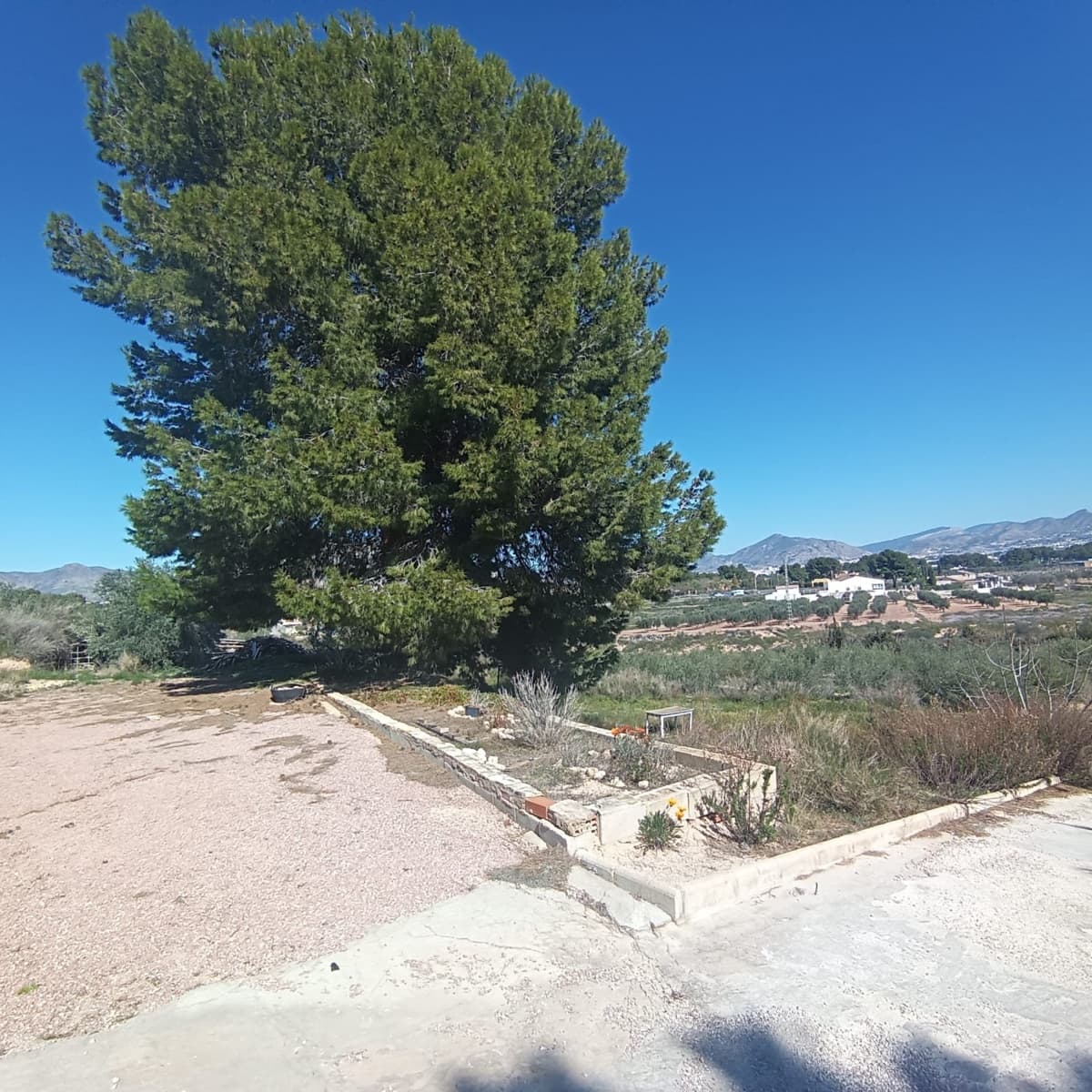 6 chambre Finca/Maison de Campagne à vendre à Elda avec piscine - 195 000 € (Ref: 9639099)