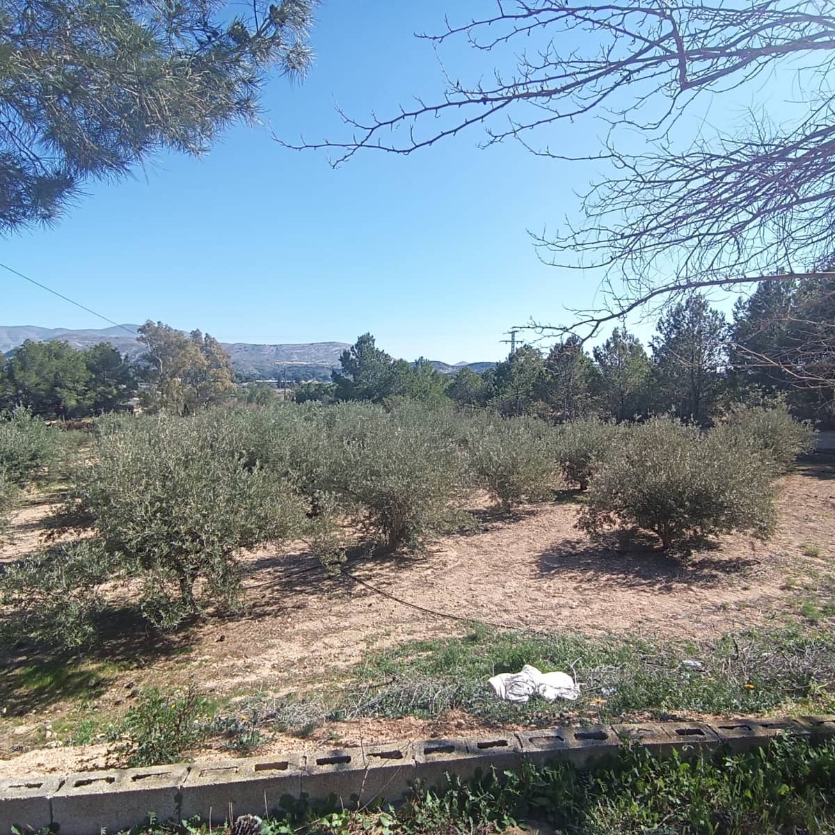 6 chambre Finca/Maison de Campagne à vendre à Elda avec piscine - 195 000 € (Ref: 9639099)