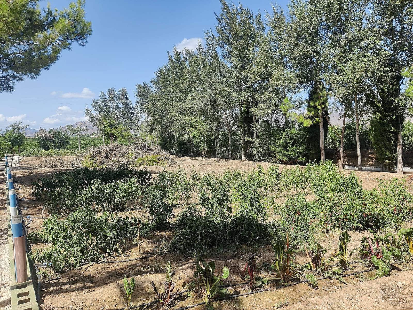 3 camera da letto Finca/Casa di Campagna in vendita in Crevillente / Crevillent con piscina - 399.995 € (Rif: 9639100)