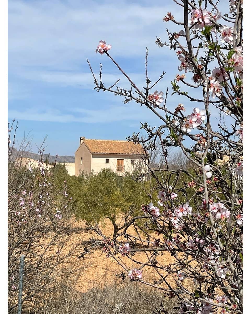 5 bedroom Finca/Country House for sale in Raspay with pool garage - € 379,995 (Ref: 9639104)