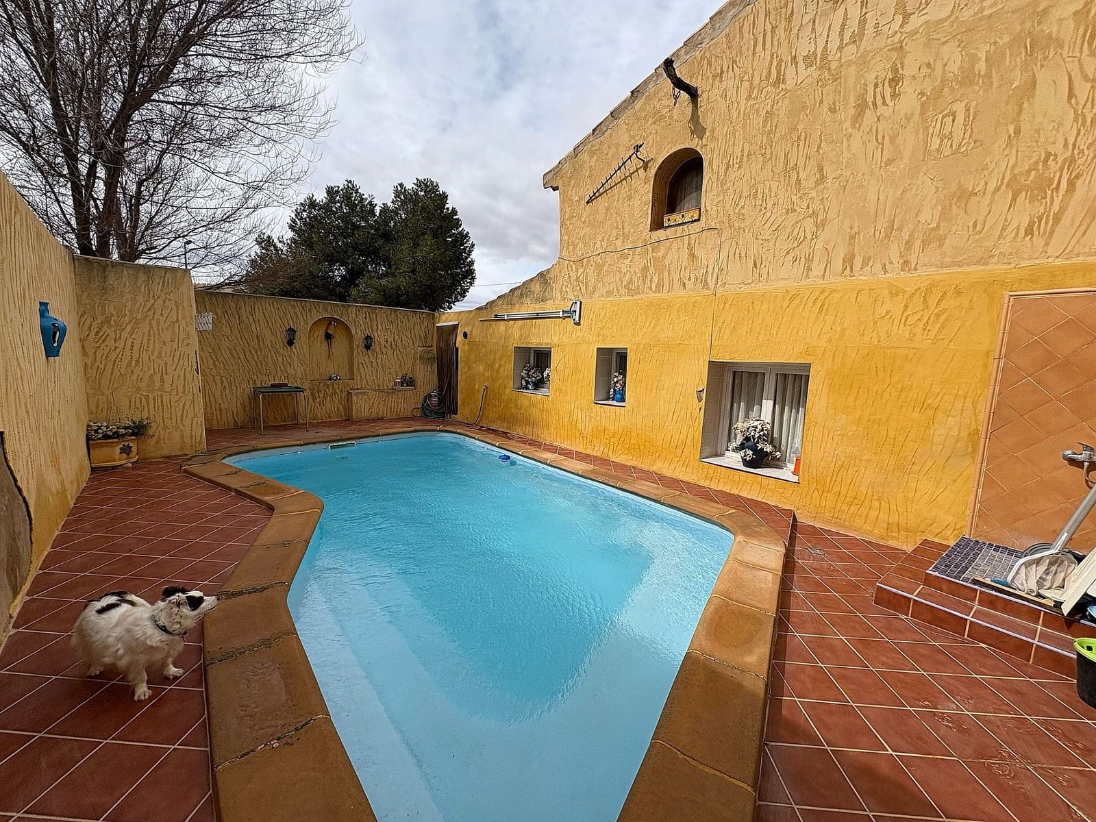 7 quarto Quinta/Casa Rural para venda em Jumilla com piscina - 395 000 € (Ref: 9694724)
