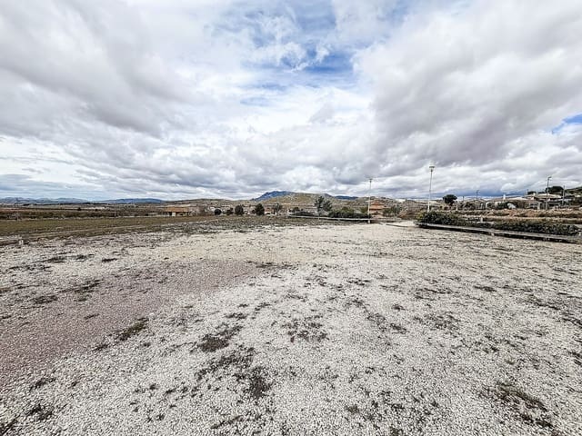 7 quarto Quinta/Casa Rural para venda em Jumilla com piscina - 395 000 € (Ref: 9694724)