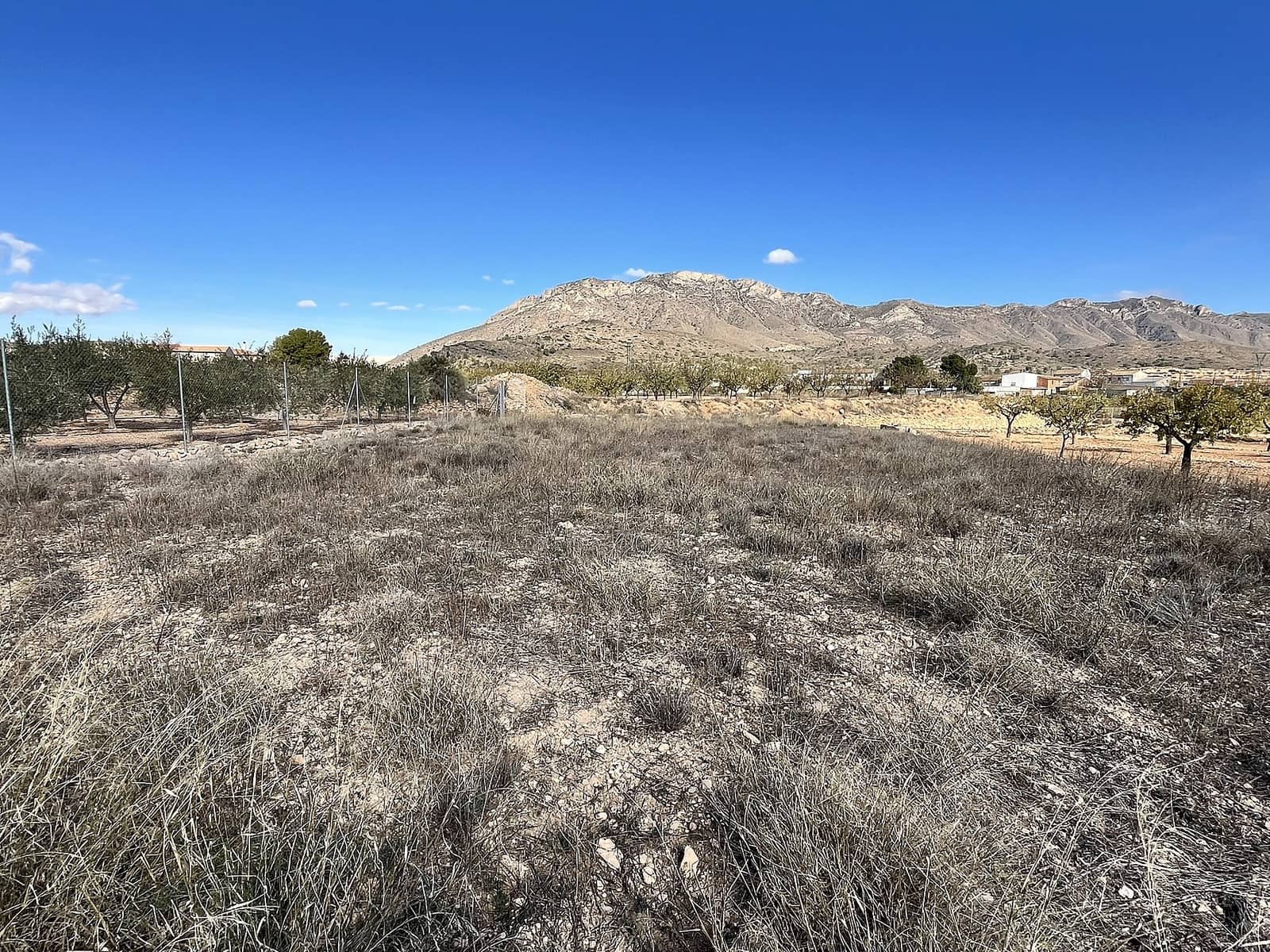 4 Zimmer Finca/Landgut zu verkaufen in El Canton mit Pool - 39.000 € (Ref: 9694729)