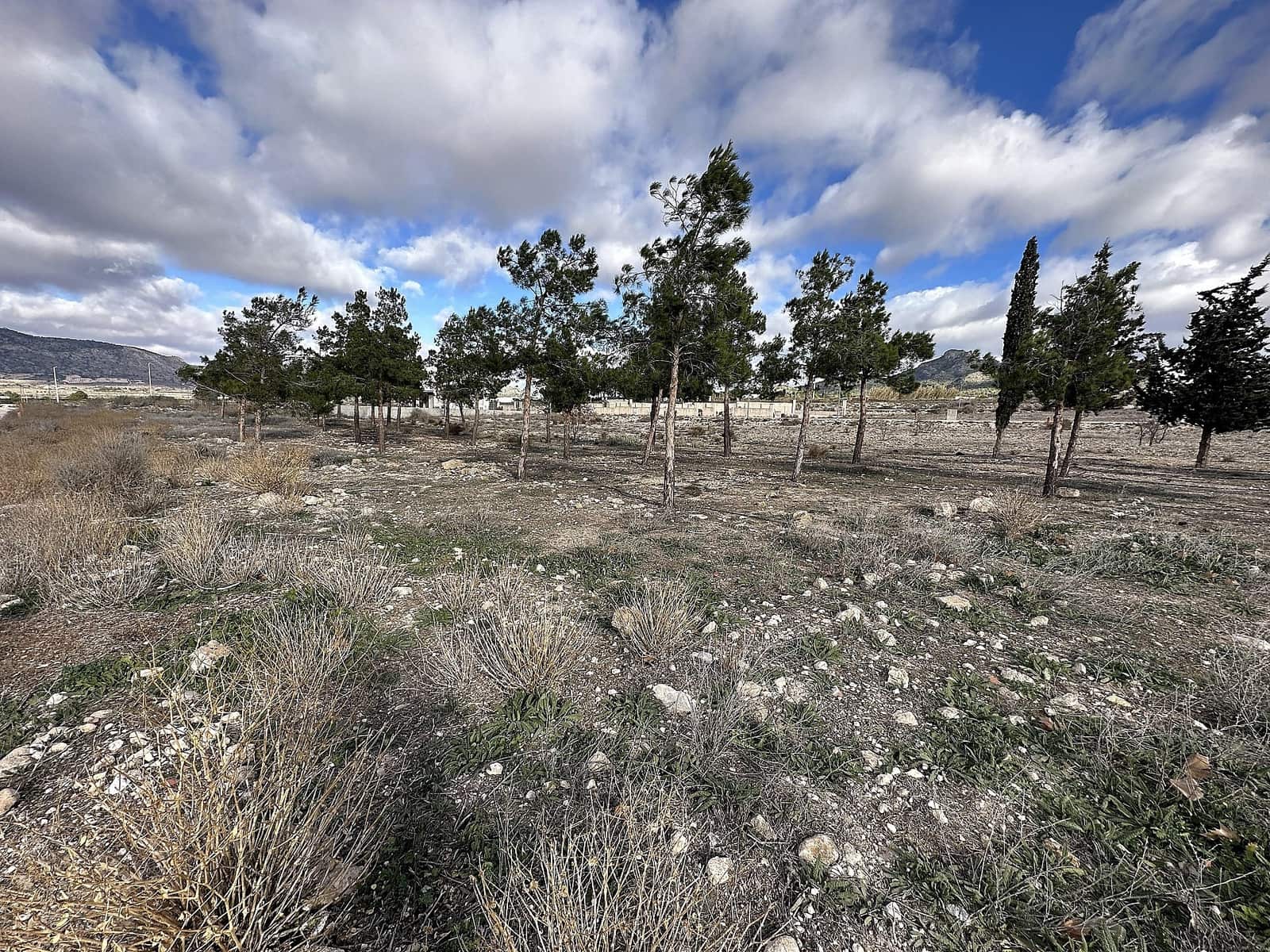 Terreno Não Urbanizado para venda em Salinas - 26 995 € (Ref: 9707420)