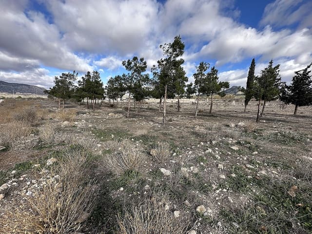 Terreno Não Urbanizado para venda em Salinas - 26 995 € (Ref: 9707420)