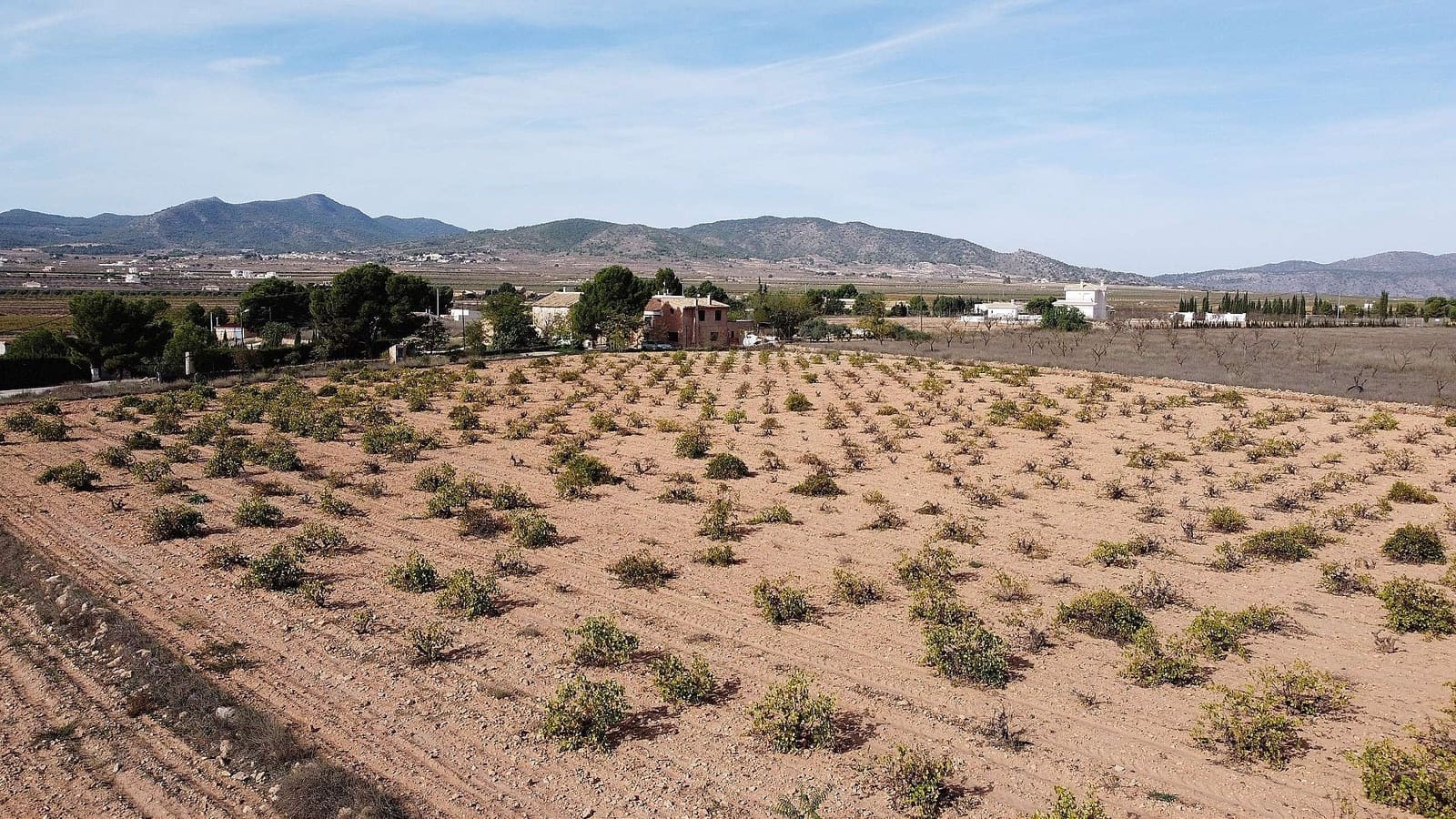 Terreno Non Edificato in vendita in Pinoso - 45.000 € (Rif: 9707421)