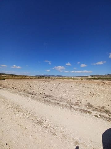 Mark till salu i Pinoso - 38 000 € (Ref: 9707422)