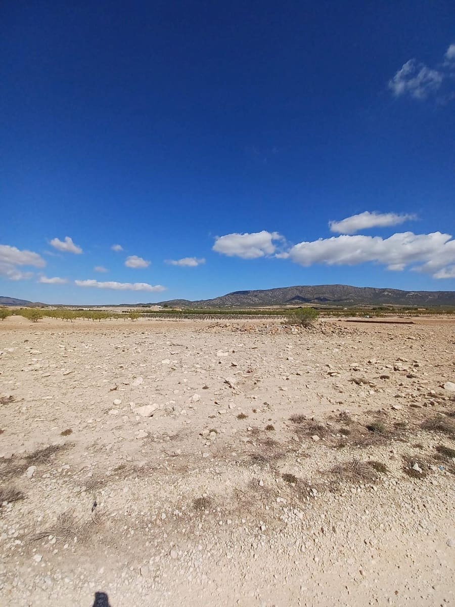 Terre non Aménagée à vendre à Pinoso - 38 000 € (Ref: 9707422)