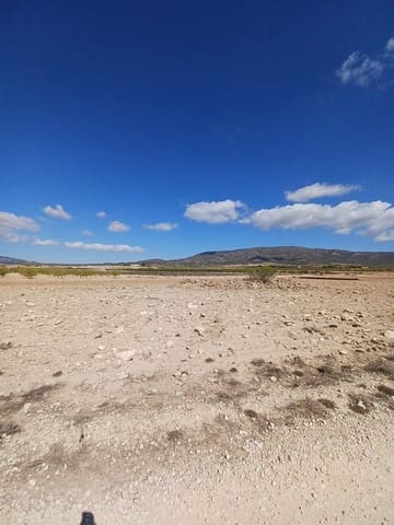 Mark till salu i Pinoso - 38 000 € (Ref: 9707422)