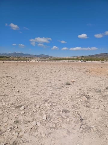 Mark till salu i Pinoso - 38 000 € (Ref: 9707422)