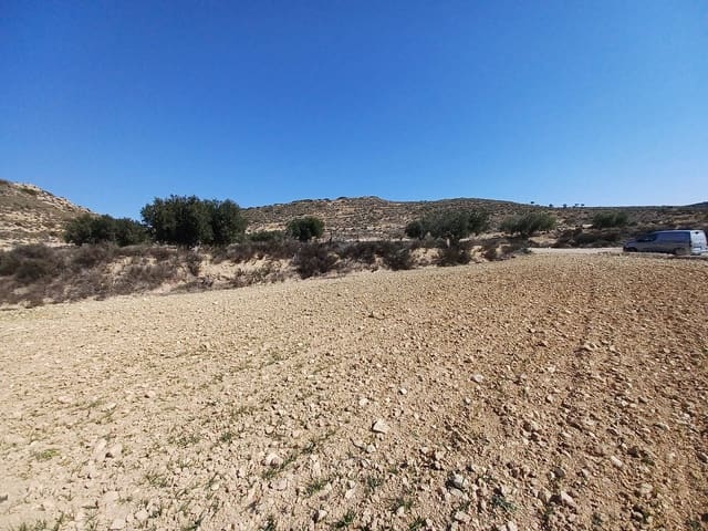 Mark till salu i Pinoso - 49 995 € (Ref: 9707423)