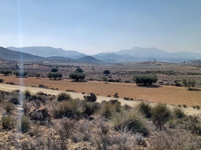 Mark till salu i Pinoso - 49 995 € (Ref: 9707423)