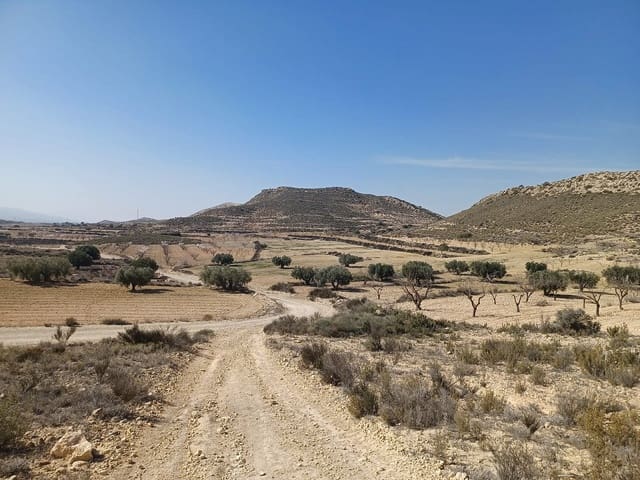 Mark till salu i Pinoso - 49 995 € (Ref: 9707423)