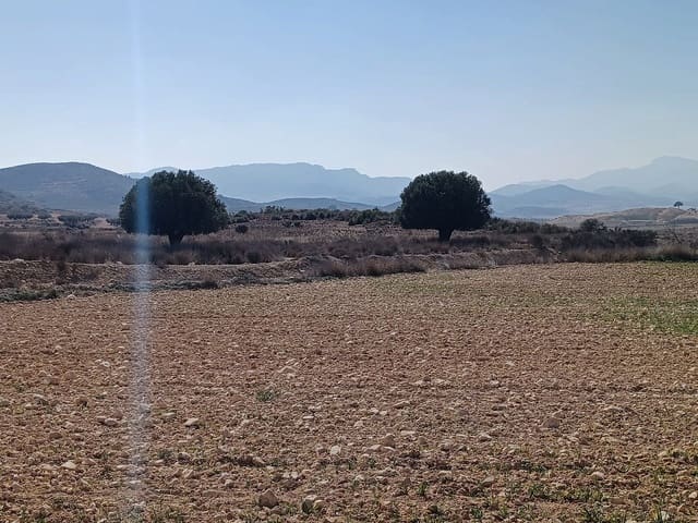 Mark till salu i Pinoso - 49 995 € (Ref: 9707423)